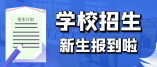 大鹏新区2021-2022学年幼儿园（公办+民办）招生信息汇