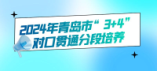 2024年青岛市“3+4”对口贯通分段培养本科录取分数线