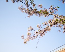 北京丰台区西罗园第六小学